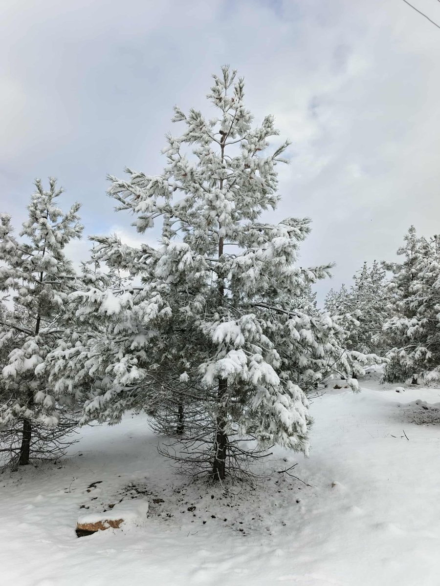Gaziantep Valiliği, yoğun kar yağışı ve buzlanma beklentisi nedeniyle 31 Aralık 2025 Çarşamba günü il genelinde tüm okullarda eğitime 1 gün ara verildiğini duyurdu. Ayrıca Gaziantep Büyükşehir Belediyesi, toplu ulaşım araçlarını, 31 Aralık ve 1 Ocak tarihlerinde ücretsiz yaptı.