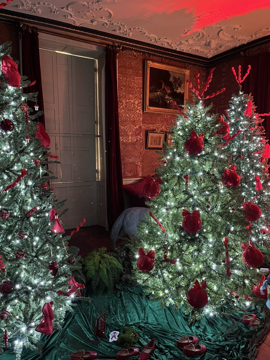 Amy Savage tweet media