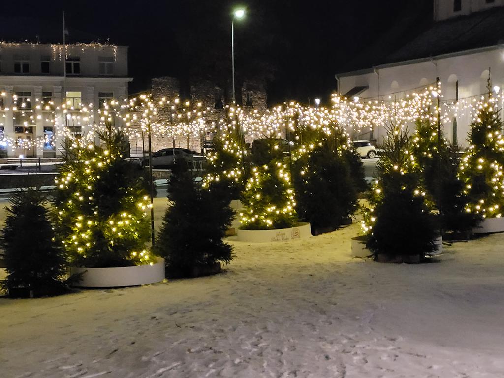 Mežs Smukās Valmieras centrā