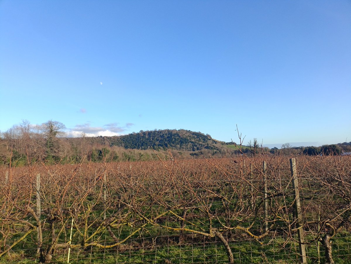 Cllr Caleb Pell 🔶🇬🇧🏴󠁧󠁢󠁥󠁮󠁧󠁿 tweet media