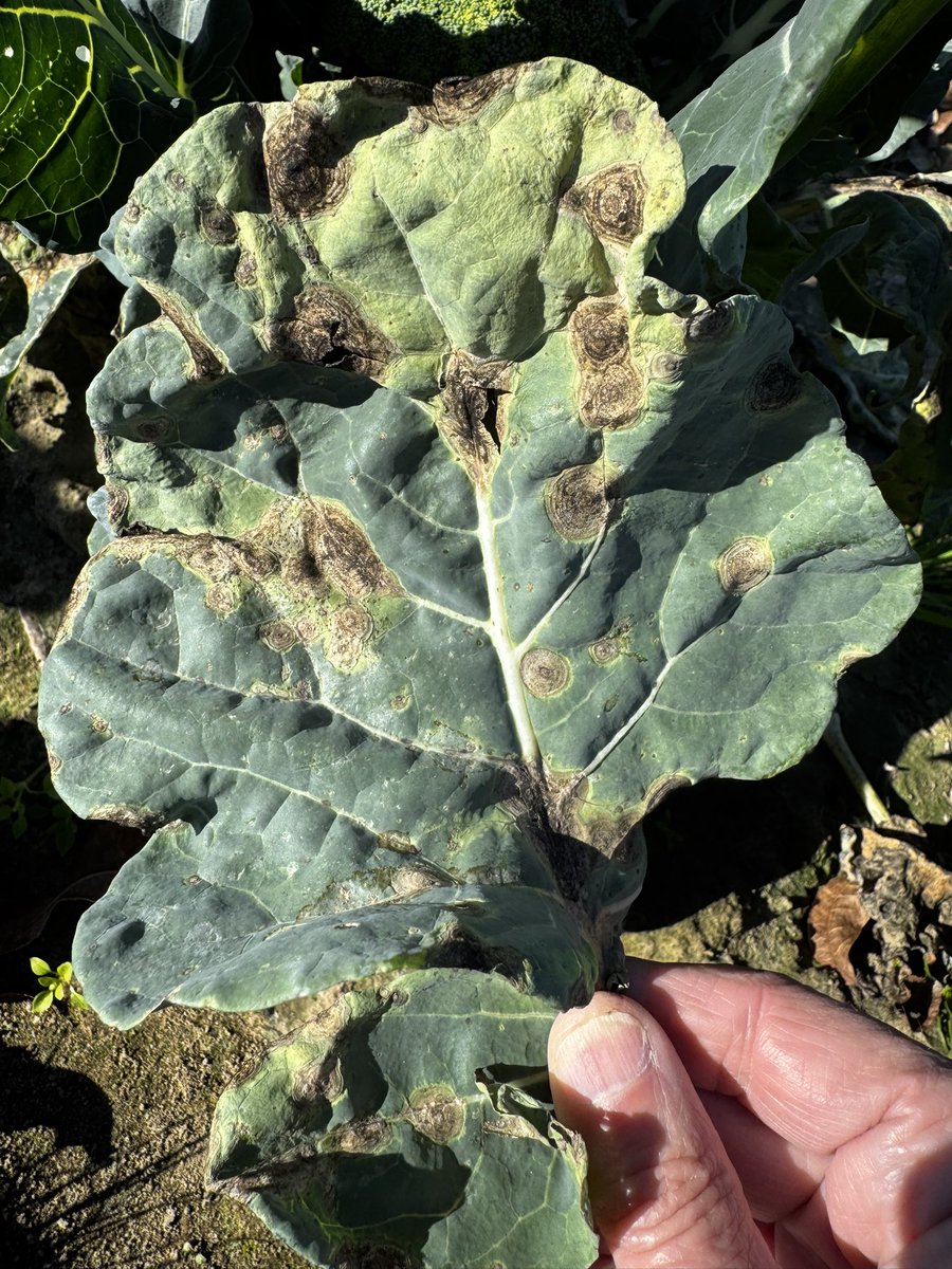 Ed Sikora tweet media