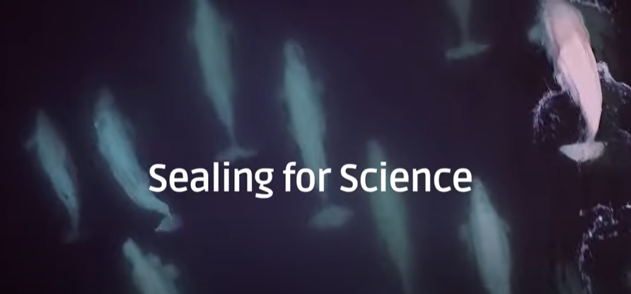 Design World tweet media