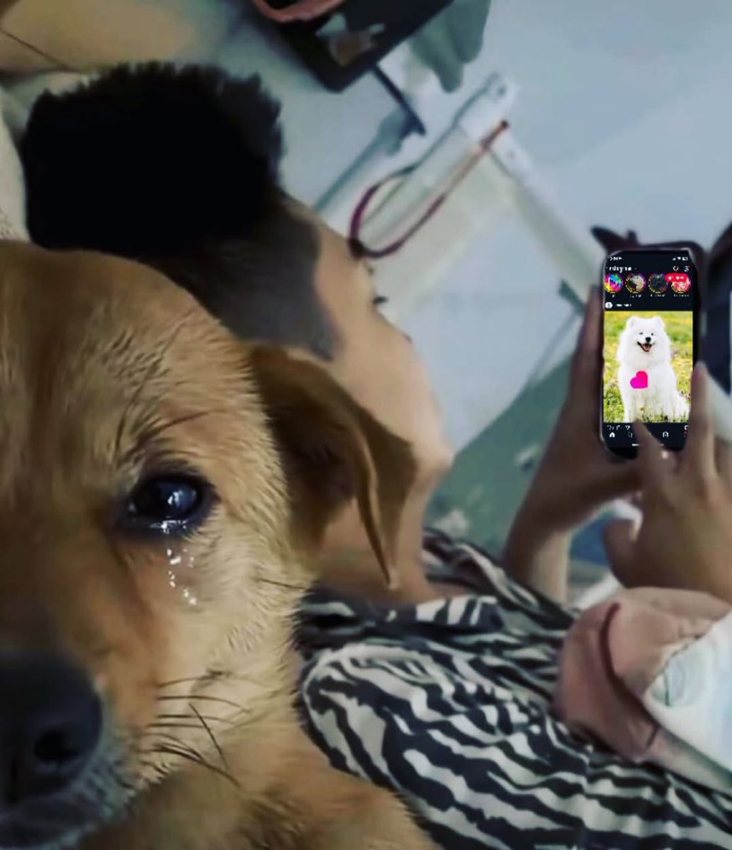 Ramdom Gallery tweet media