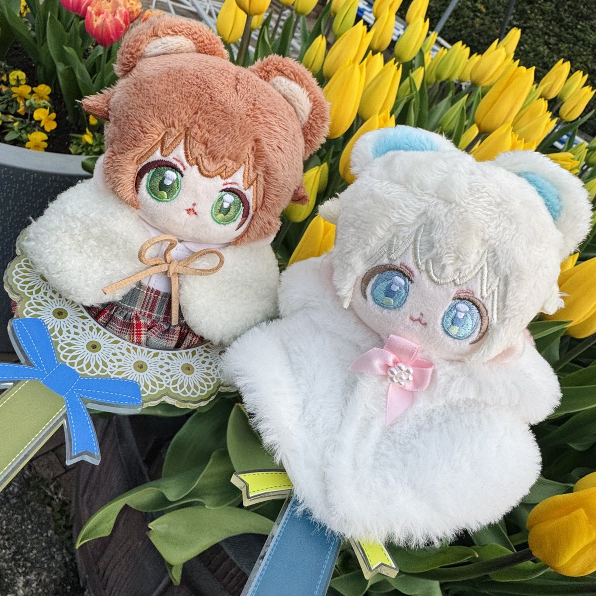 じろぴ(@jiropi_tw)のくぅまちゃんと我が家の白くぅまちゃん