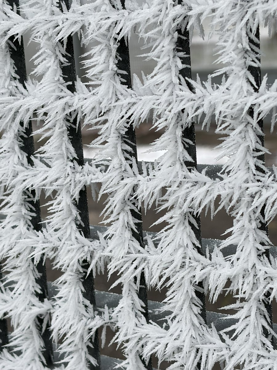 Cyril Scarcelli tweet media