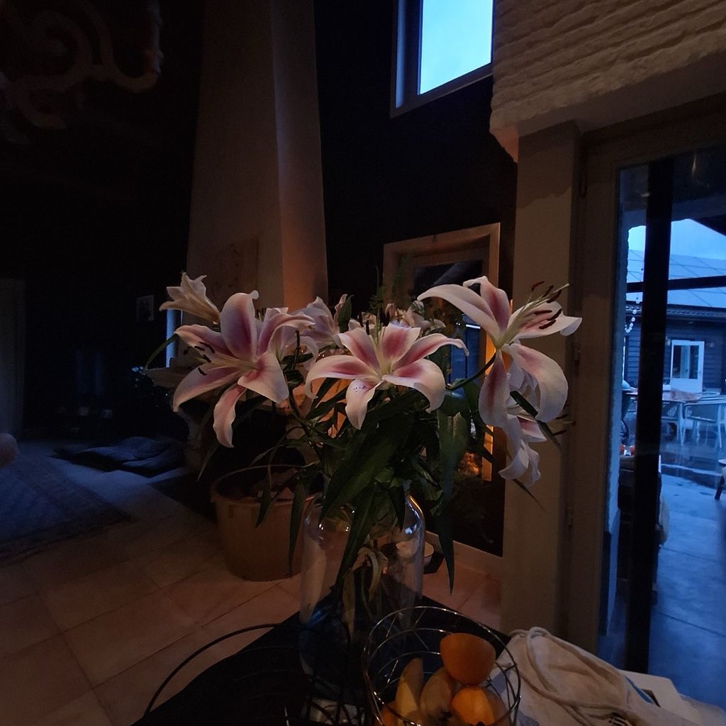 inreuo's tweet image. 