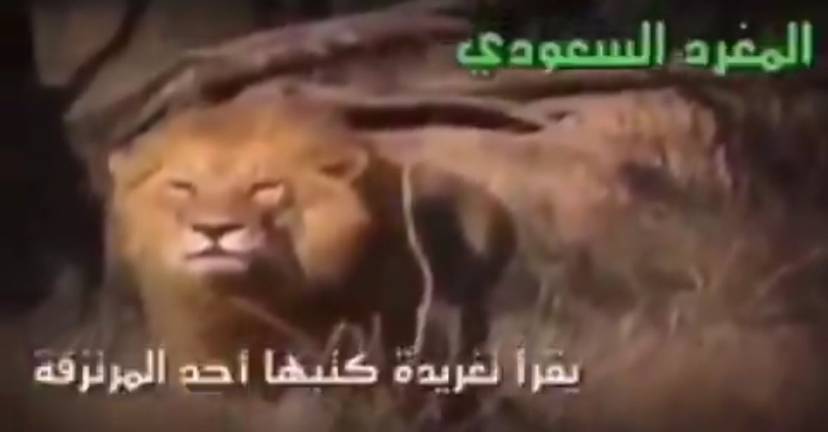 الوضع الحين