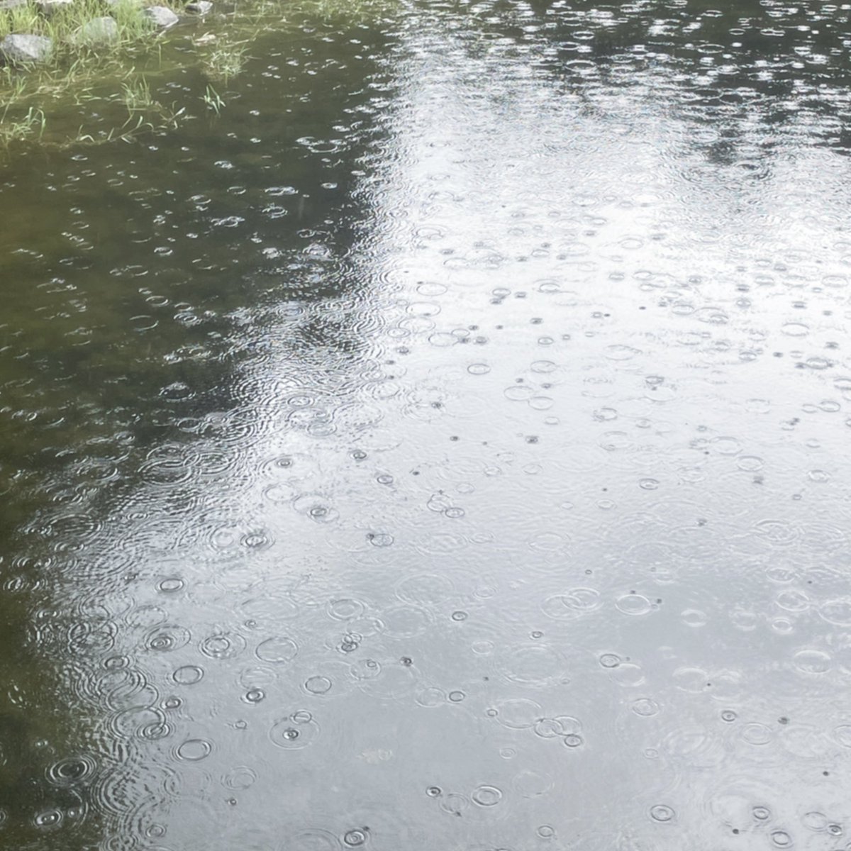 Lambiris tweet media