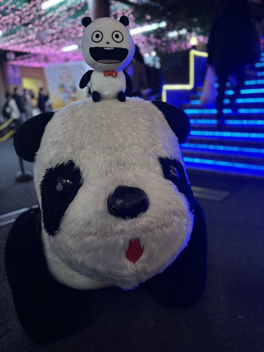 i_147_'s tweet photo. ㊗️にしむらゆうじ 10周年
花やしきでごきげんぱんだ　こねずみ
ラブラビットの着ぐるみさんと
遊んできました〜🎠

#にしむらゆうじ
#スタジオUG https://t.co/SQojh5ruwY