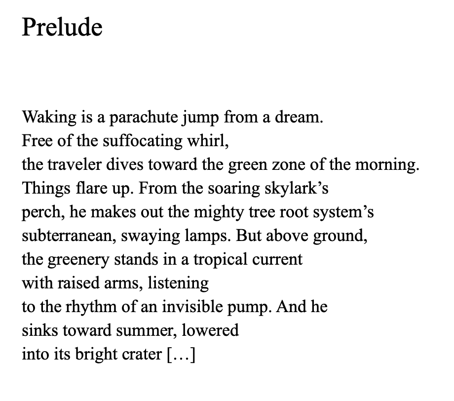 Amsterdam Review tweet media