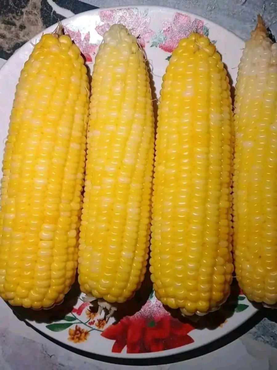 スイートコーンの季節がまたやってきました！ひと口いかがですか？😜🇳🇬🇯🇵