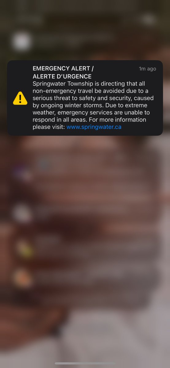 Gabriel Shepherd tweet media