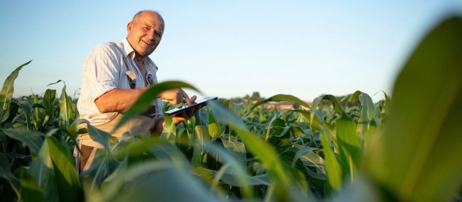 AKTION LEGAL tweet media