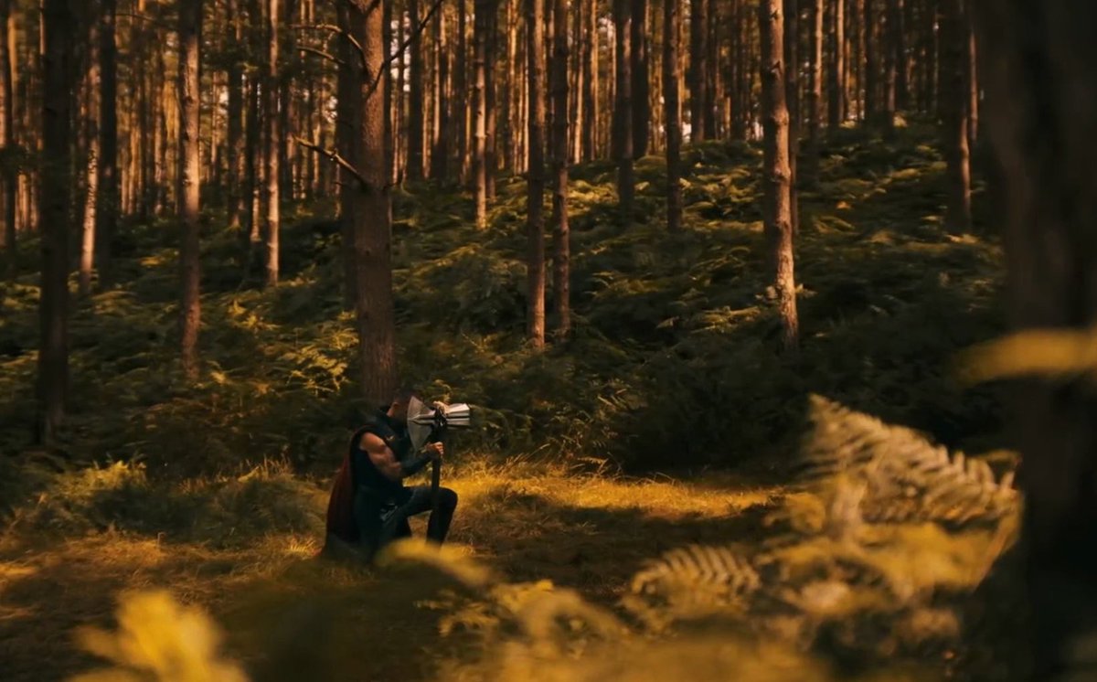 mofromyt's tweet image. this shot &amp;gt; the entirety of love and thunder