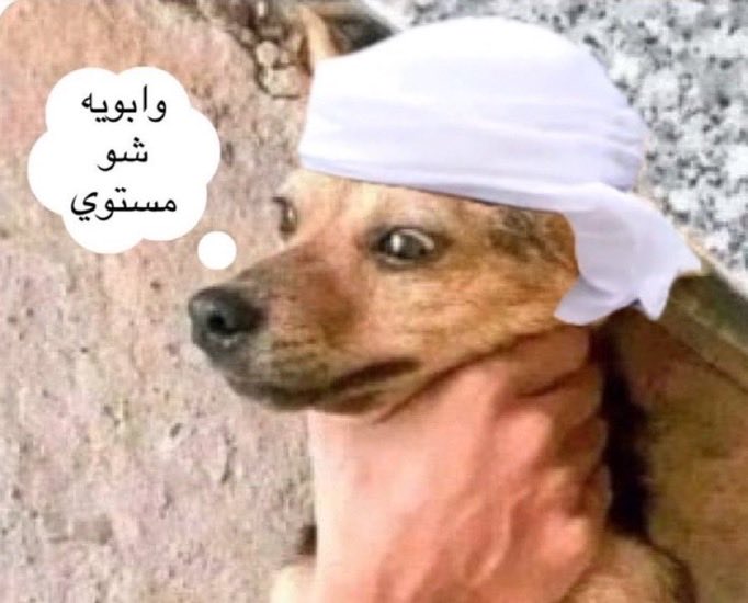 alialsodi19's tweet photo. @OsAmiri اطلع من اليمن ياكلب https://t.co/pQHDcbVkLY