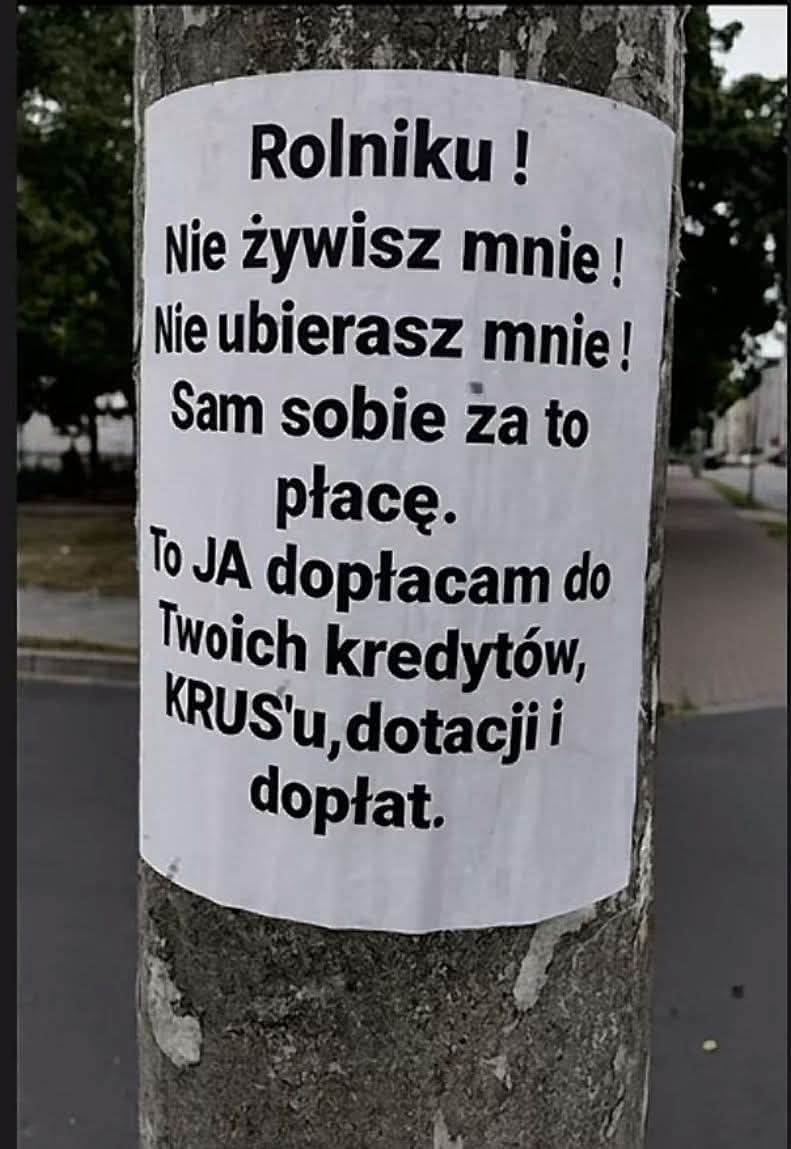 Andrzej Grabowski tweet media