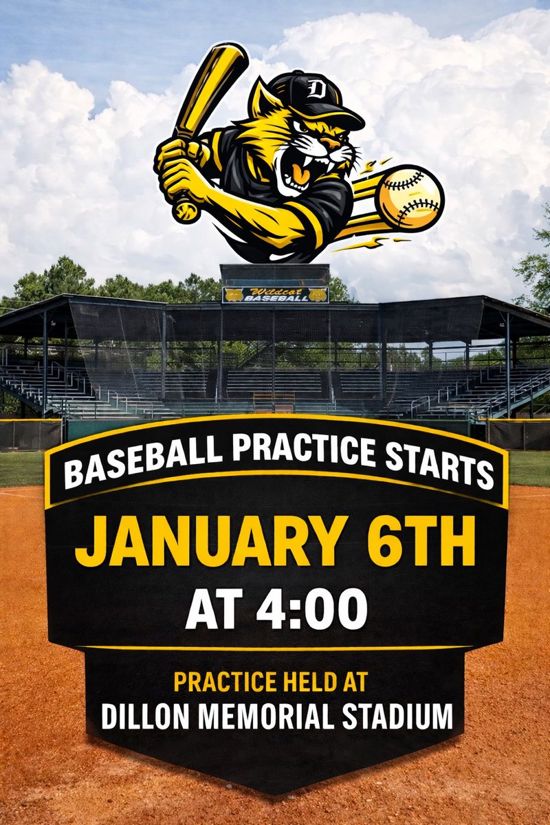 Dillon Wildcats Baseball tweet media