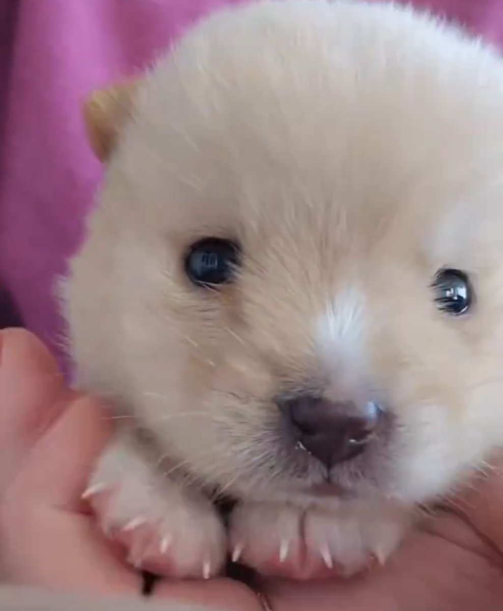 똥개 운학 tweet media