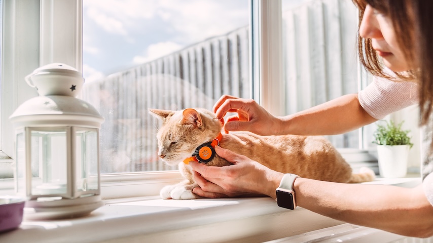 ASME.org tweet media