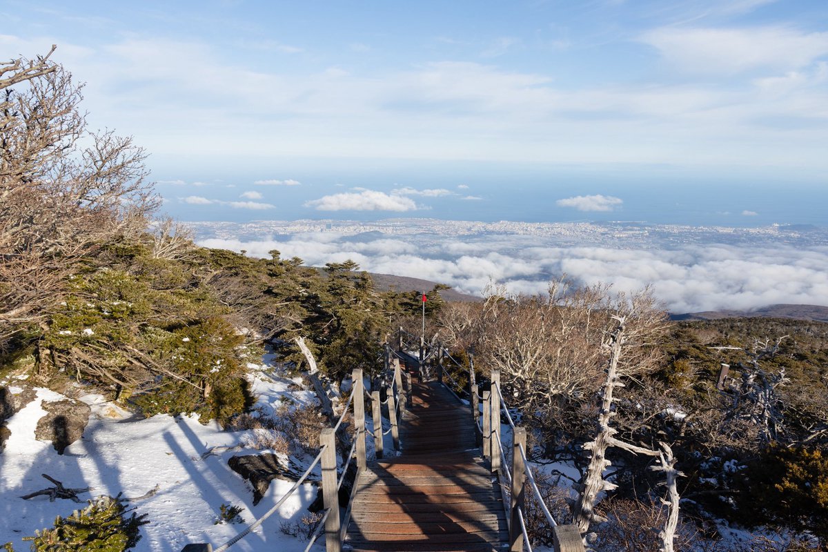 𝓑𝓮𝓻𝓻𝔂𝓒 tweet media