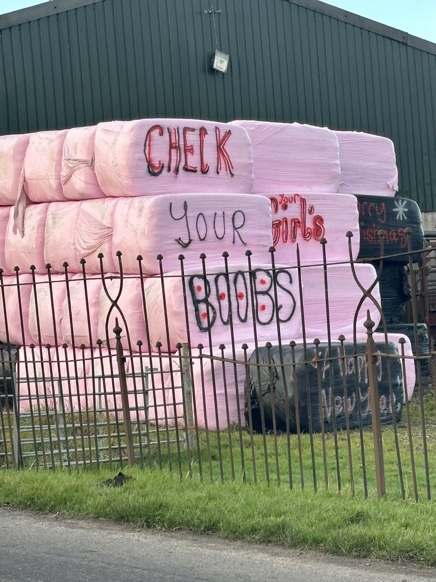 rattycastle tweet media