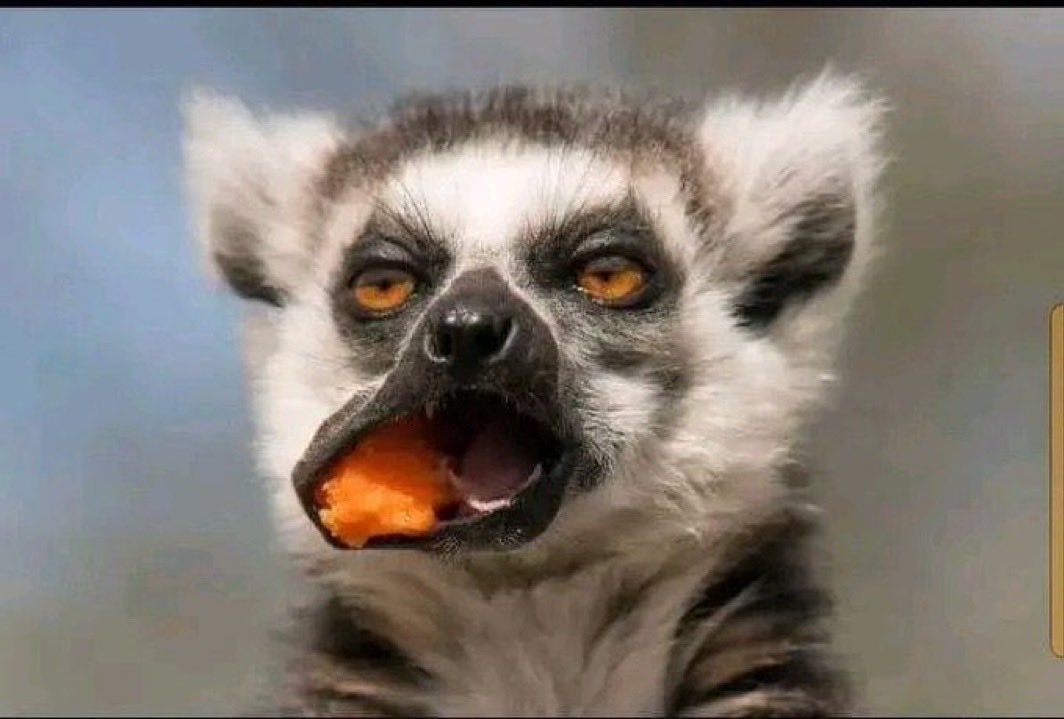 Humu kila mdada anapesa
Ana iphone 16 nakuendelea
Wanaish appartments za 400k nakuendelea sio mageto
Wanavaa mawig ya bei na kusuka kila week
Nguo na mapoch brands tu
Mahotel makubwa + kusafiri nje

Afu kuna mimi hapa nasubiri mahindi yaote shambani🥹🙌🏻