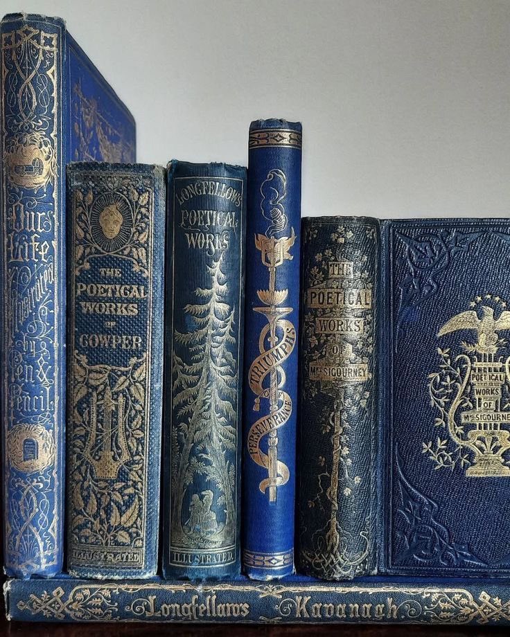 schay ೀ tweet media