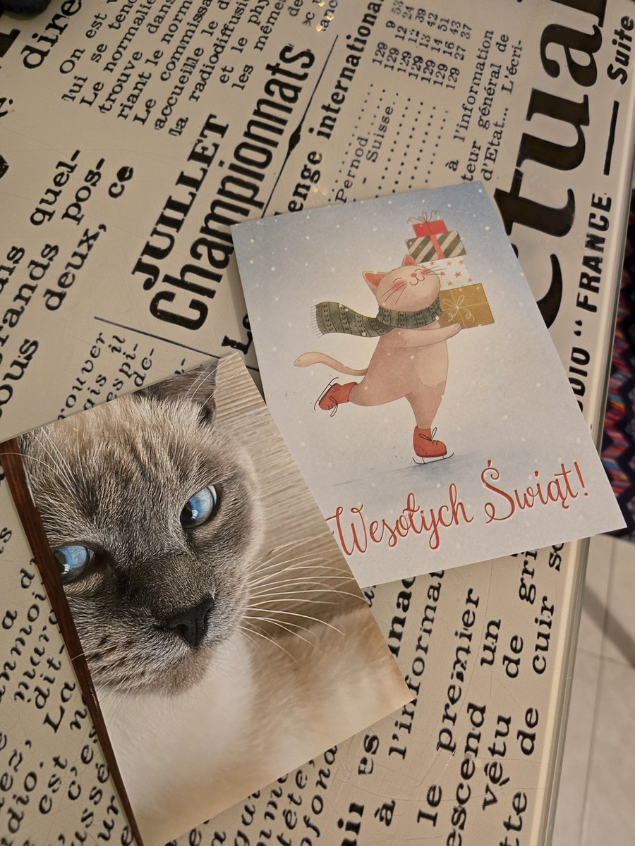 olyapka's tweet image. Ооо, мне тоже пришла открытка и фото кота! Спасибо @3k 😊