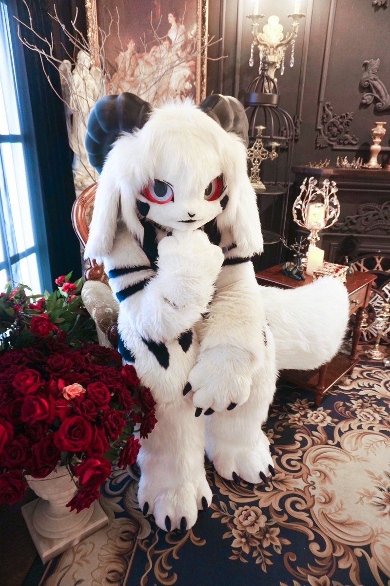 #FursuitEveryday 
빨간 장미같은 블랑이의 두 눈.. 🌹🌹

📸사진&amp;보정: <a href="/Nyuldori/">뉼도리🔥Nyuldori</a>