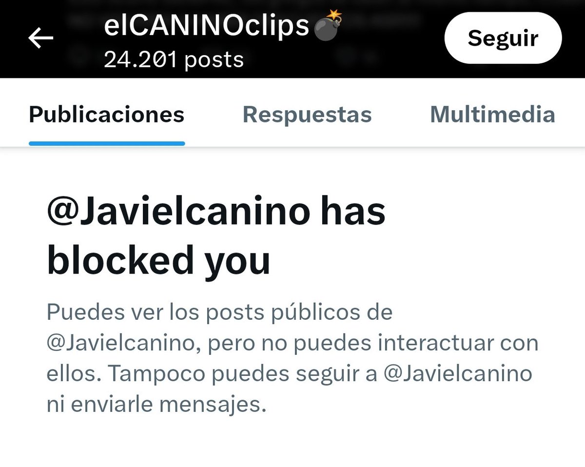 estela tweet media