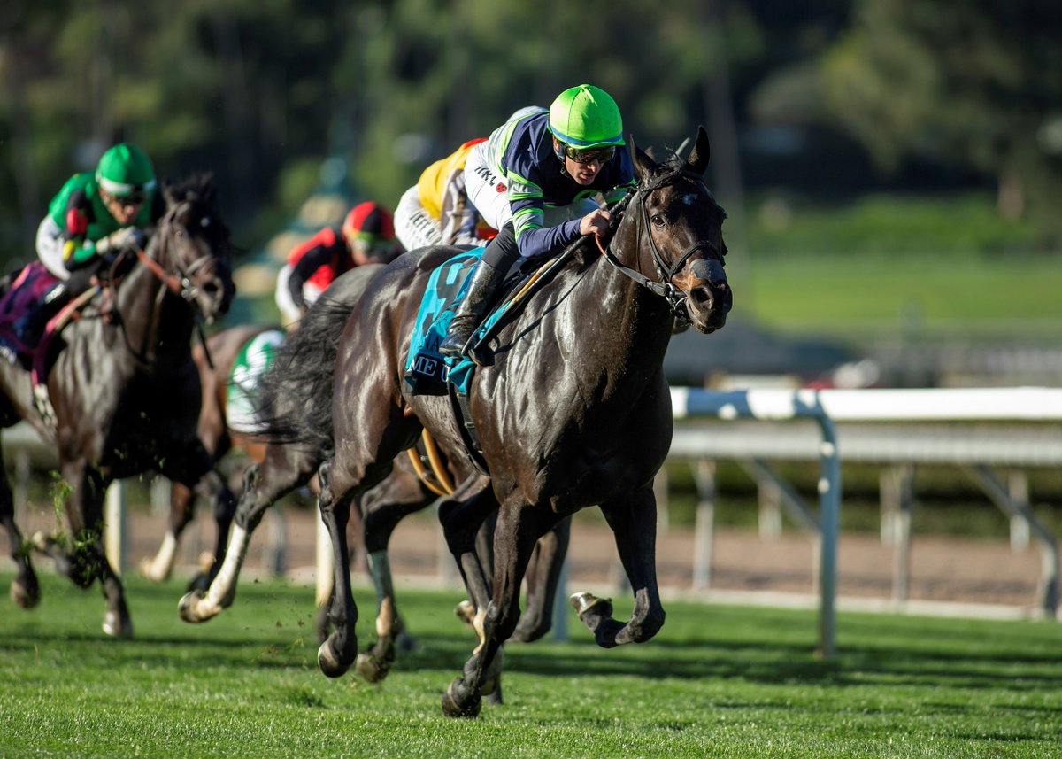 Equibase's tweet photo. GAS ME UP was simply brilliant yesterday, rallying from last to win the G2 Joe Hernandez Stakes at @santaanitapark by 1 1/4 lengths at odds of 13.10-1, first off the trainer switch back to Peter Eurton with @MircoDemuro1 aboard! This marked Demuro's 3rd career graded stakes victory in North America. 

The 5yo Hard Spun gelding covered *6 1/2 furlongs on the downhill turf in 1:10.88, just 0.36 seconds off the track record, and earned a career-best 115 Equibase Speed Figure!

GPS Stats 📊
▪️Final Time - 1:10.88
▪️Final Furlong - 11.32 seconds (fastest in the field) 
▪️Distance Travelled - 4,321 ft.
▪️Cumulative # of Strides - 170.20
▪️Avg. Stride Length - 25.42 ft.
▪️Avg. MPH - 41.65
▪️Avg. Strides per Second - 2.40

Joe Hernandez S. GPS Chart:
https://t.co/NWJ8p3geoW

📸Benoit Photo