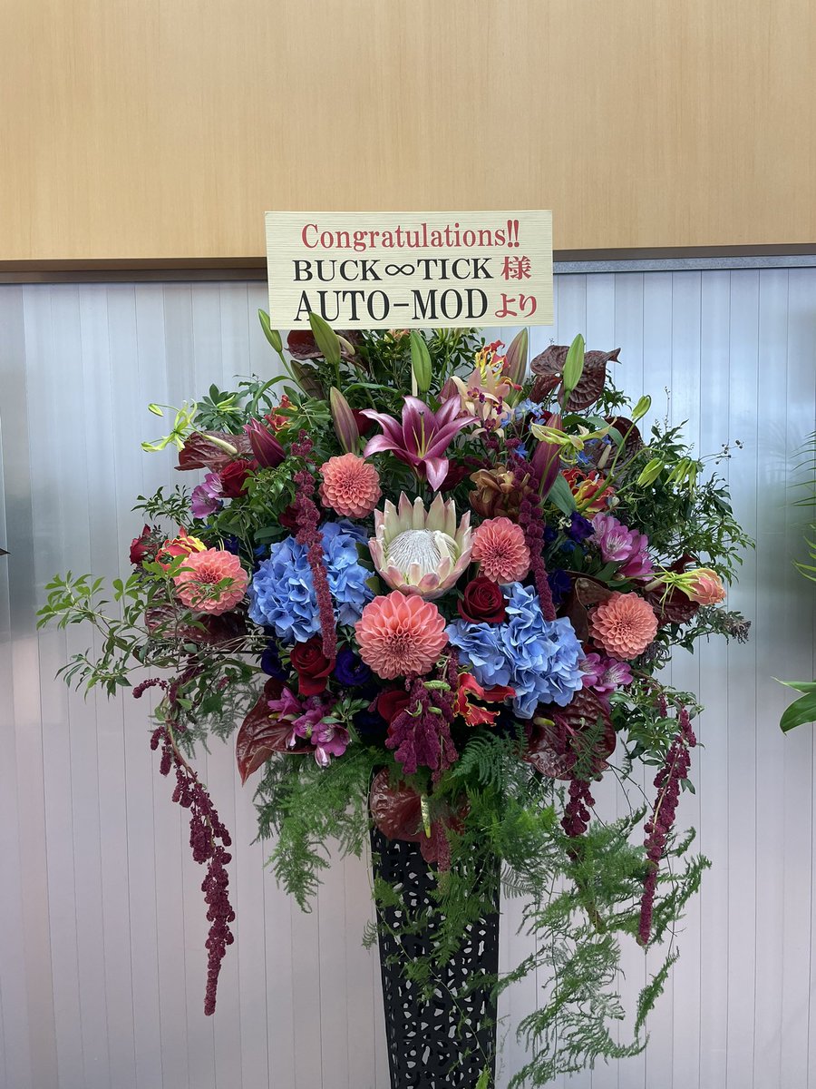 dot_moss's tweet photo. 年末恒例のBUCK♾️TICK武道館ライブのスタンド花㊗️
今年もAUTO-MODのジュネさんからご注文いただきました!!
プロテア、ダリア、アジサイ、オリエンタルリリー、赤バラ、アンスリウム、アマランサスなど使って作製しました。 https://t.co/AXwV5V5MVh