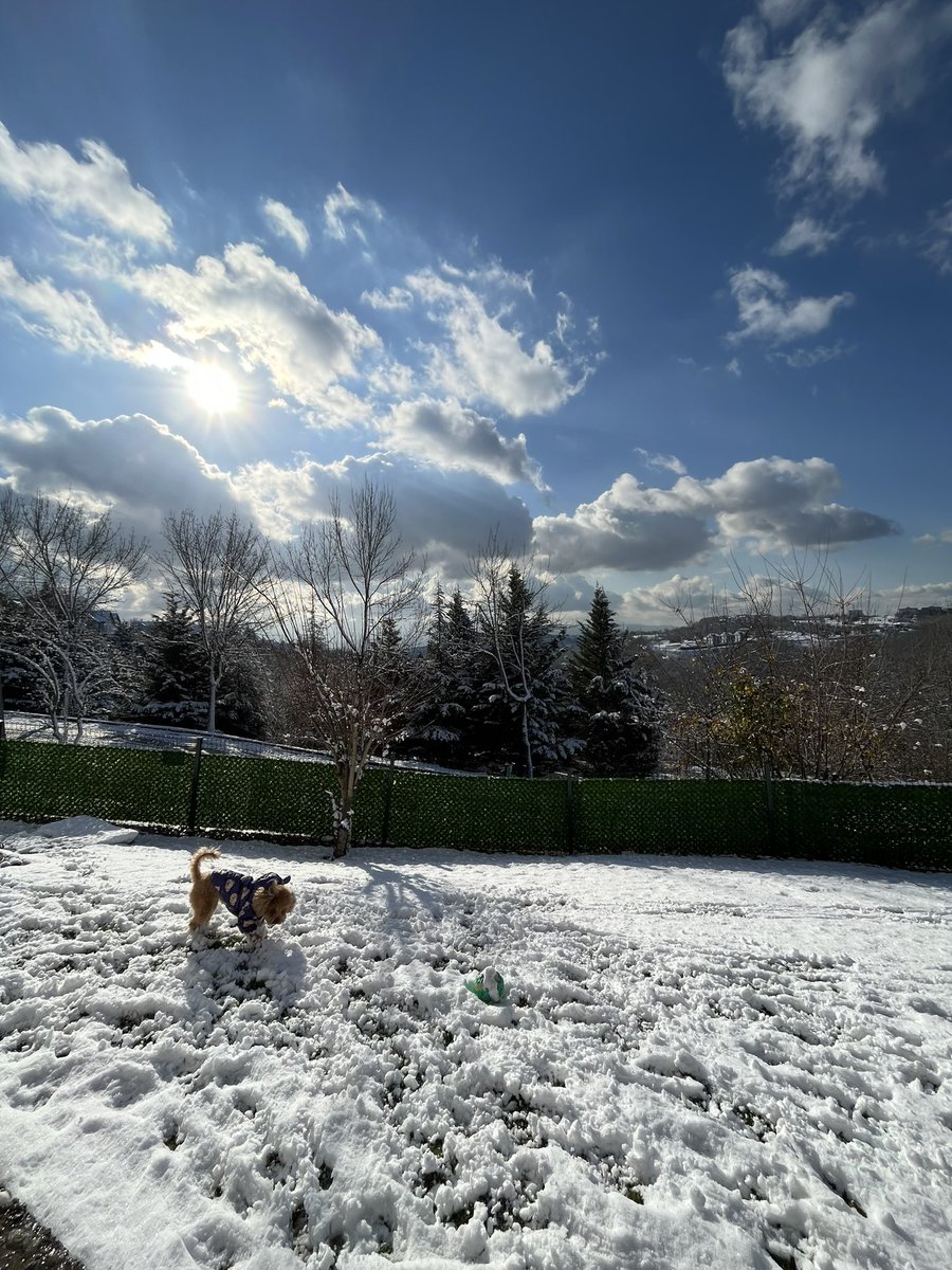 thepunsofus's tweet image. İki gündür çok güzel kar keyfi yapıyorum ama mutluluktan kendimi şaşırdım karın güzelliği eşliğinde sevdiğim her hobiyi yapmaya çalışıyorum jsjfks 😅❄️🤍