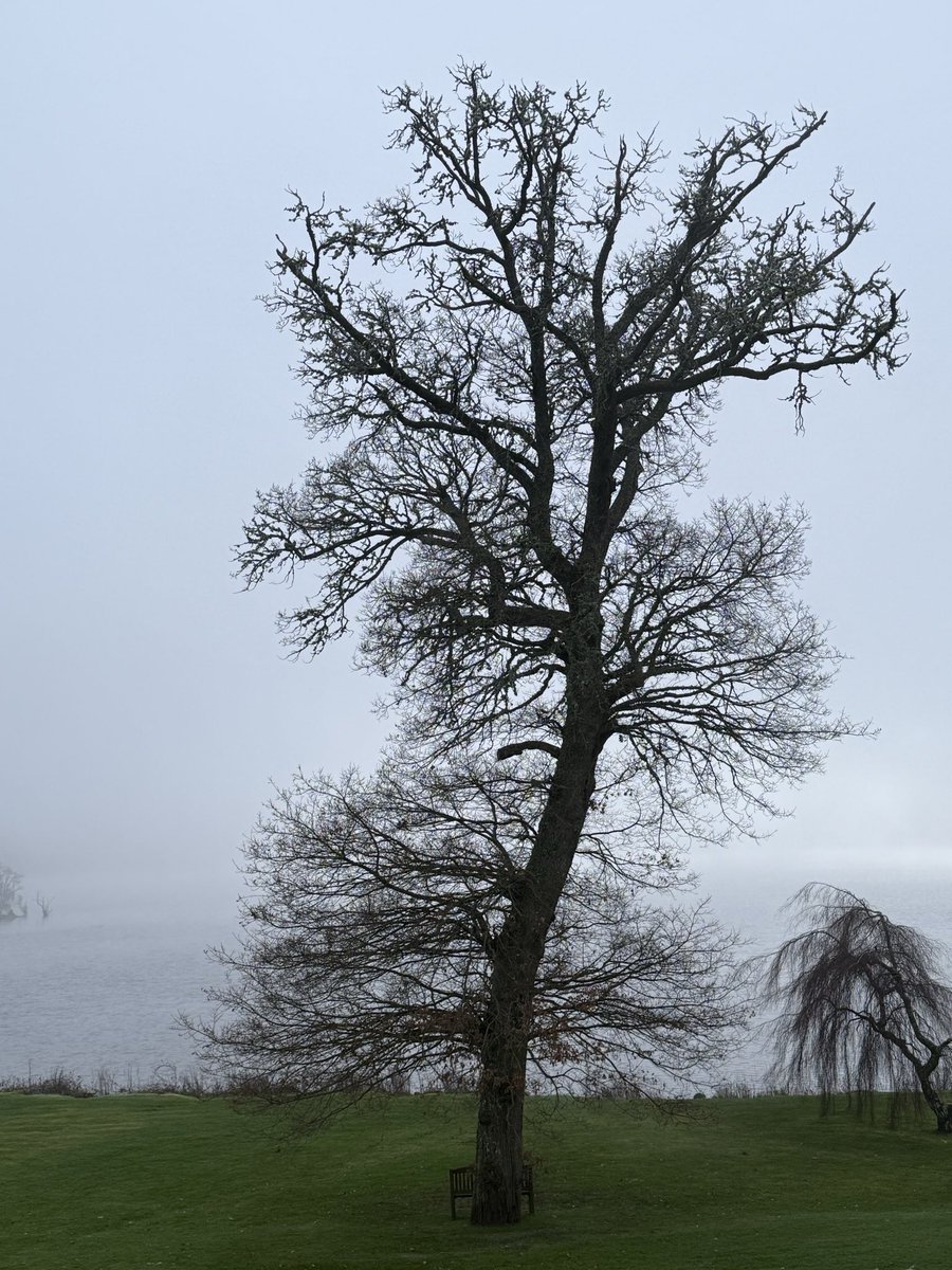 Michael Cornfoot 🇺🇦 tweet media