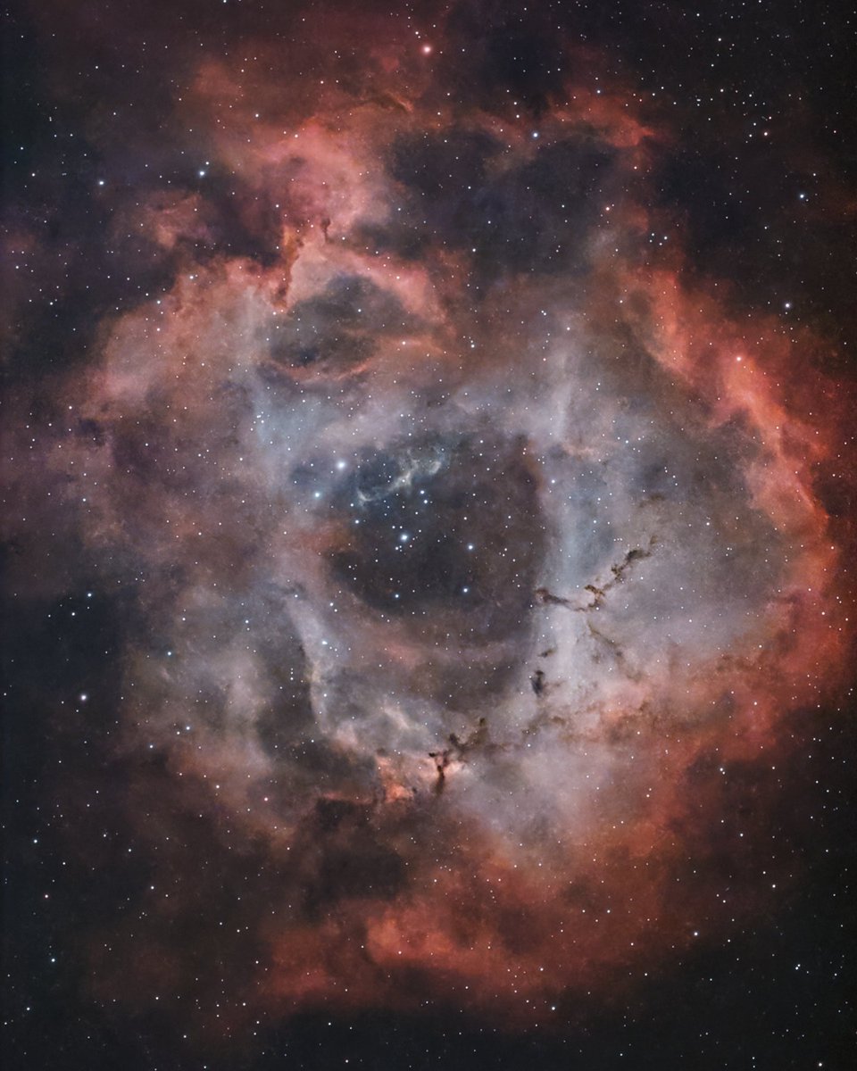 🔭AstroBackyard tweet media