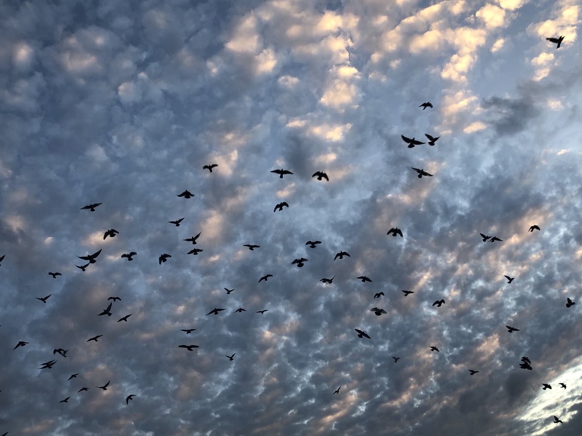 هدى (@huda_mohamed111) on Twitter photo 