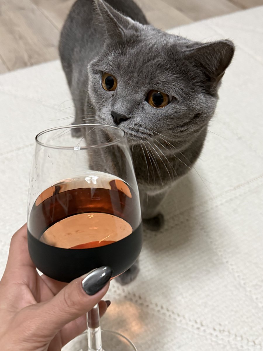 Baban beni çok seviyormuş dedikodu yapmaya geldim de aşxkckckc😂😂😂