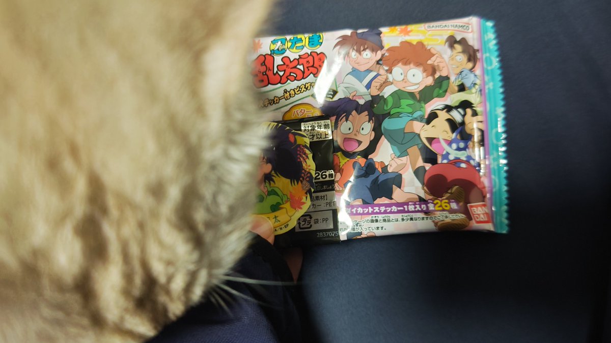 EBIFLLLLY's tweet photo. 今年最後の運命力です、あと乱入した猫です https://t.co/5y6wMfzj4t