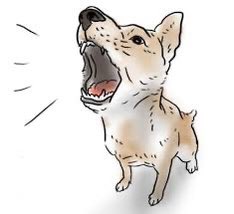 CLONEKID_'s tweet image. 