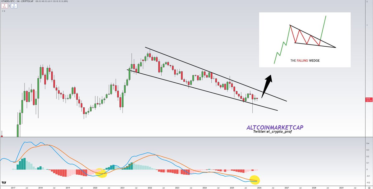 #Altcoins 

The macro chart for others/altcoins looks really interesting.

We're talking about a falling wedge that has been in the making for 4.5 years‼️

Breakout in 2026.

Are you ready? 👀🔥