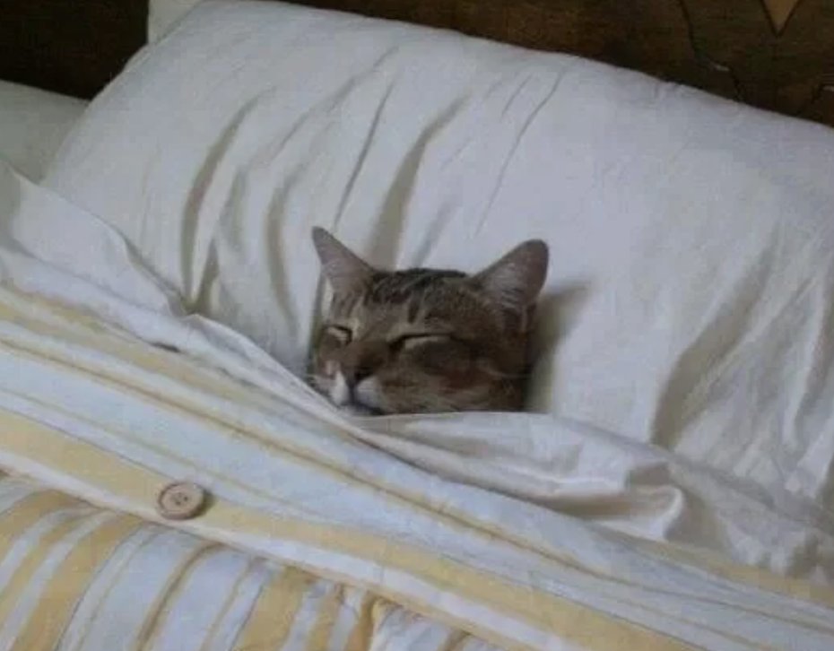 Women's Humor tweet media