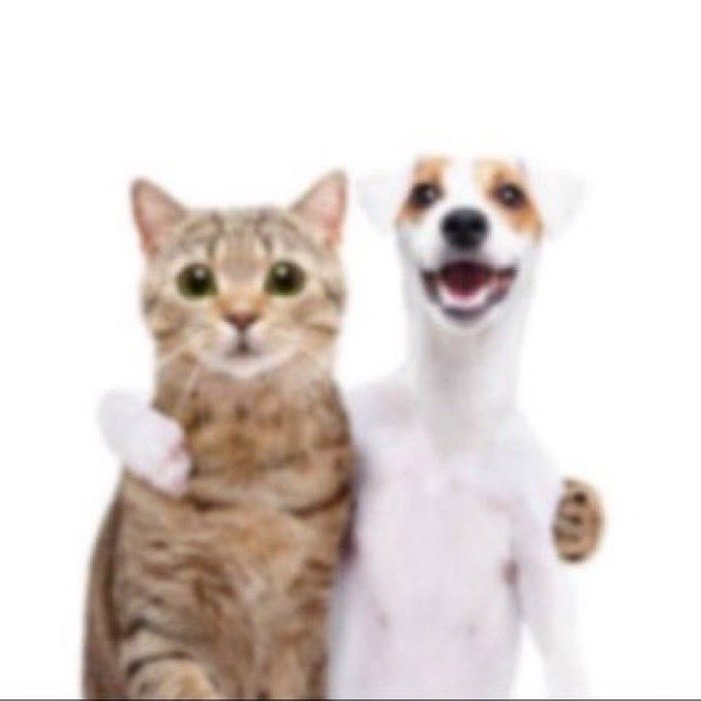 #. oieeee, plots com a pansy eh só curtir !