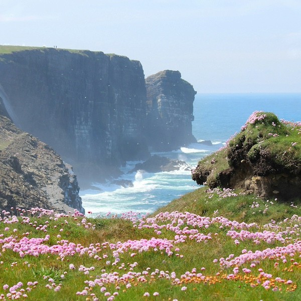 failbettercom's tweet image. "Coastal Erosion" by Sharon Venezio --  failbetter.com/content/coasta…