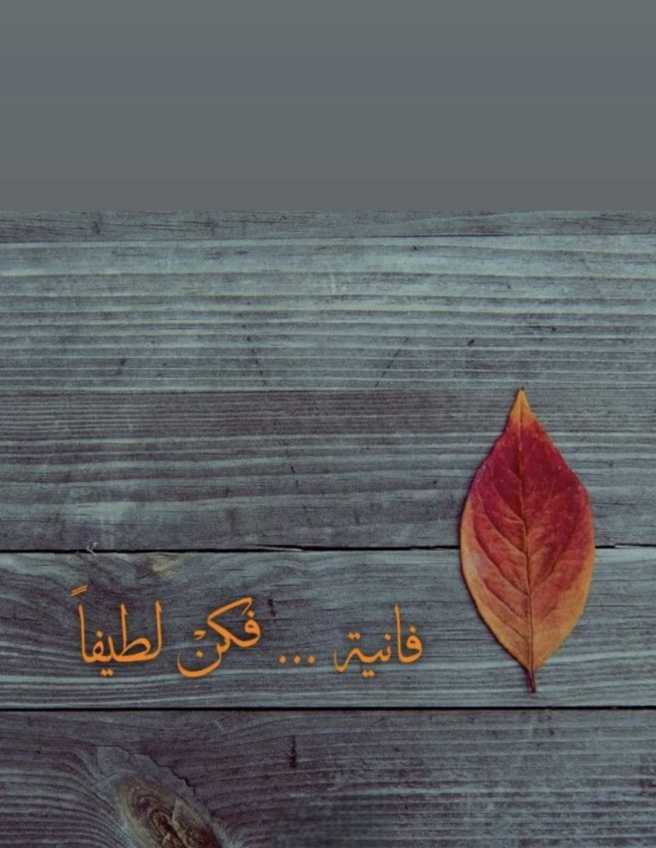 حصه بنت عبدالعزيز 🤍🕊️ (@am_aziiiz) on Twitter photo 