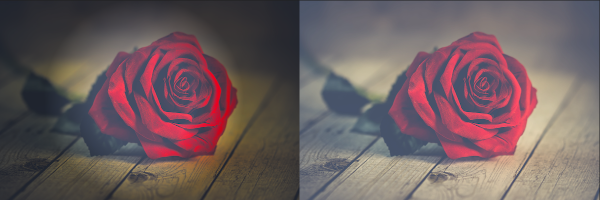 Einhugur Software releases PictureEffectsRaw Plugin 8.0 for Xojo.

PictureEffectsRaw is a Xojo plugin to do effects on Raw picture buffers, that originate from MemoryBlocks.

This version added high quality up-scaling and spotlight effect.

More info at einhugur.com