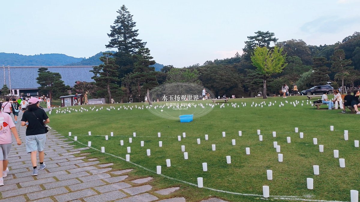 TadeasWhitt's tweet photo. 清晨被鸟叫唤醒，拉开帐篷就是晨雾漫山！烤着热红薯喝热美式，风里都是松针香～晚上躺星空下数流星，原来露营不是逃开城市，是和自然撞个满怀 #露营是种病治不好 #山野治愈 https://t.co/jIwSiIL7pE