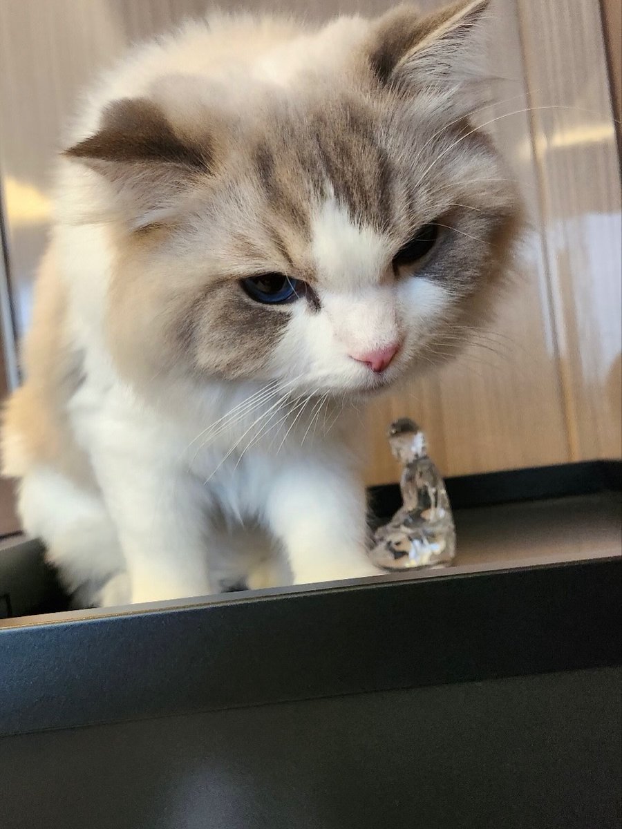 NCTDREAMCENTER's tweet photo. 251231 #JAEMIN (Cat) Instagram (2)

#NCTDREAM @NCTsmtown_DREAM https://t.co/6MmY6N1Cof