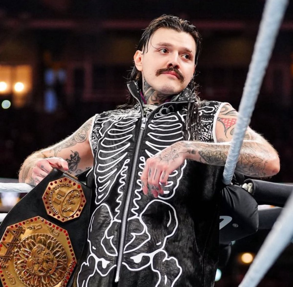 dominikstendies's tweet image. unless you are one of these two things, liv morgan does not care