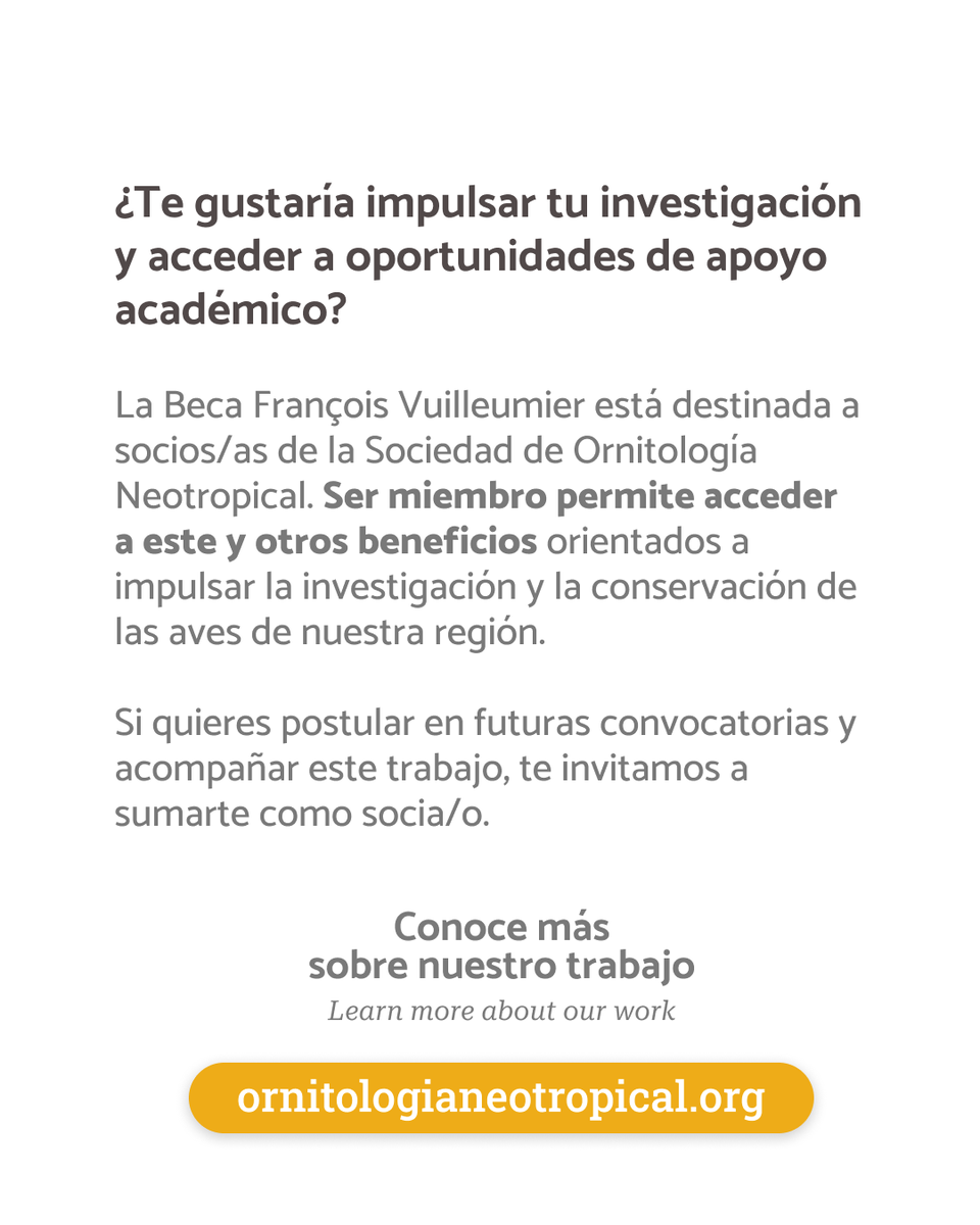Ornitología Neotropical tweet media