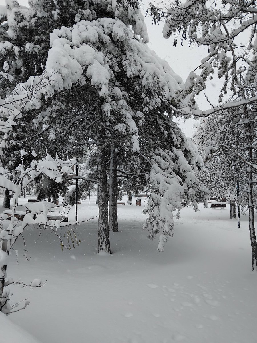 Şehri vanda kar manzaraları